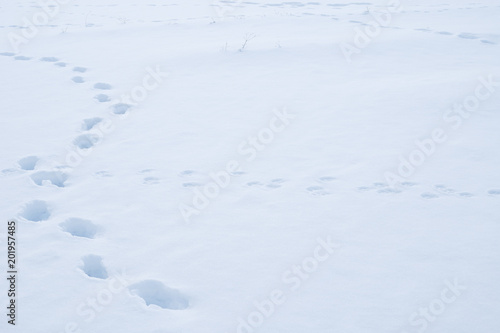 冬 雪 足跡 素材 Buy This Stock Photo And Explore Similar Images At Adobe Stock Adobe Stock 冬 雪 足跡 素材 Buy This Stock Photo And Explore Similar Images At Adobe Stock Adobe Stock