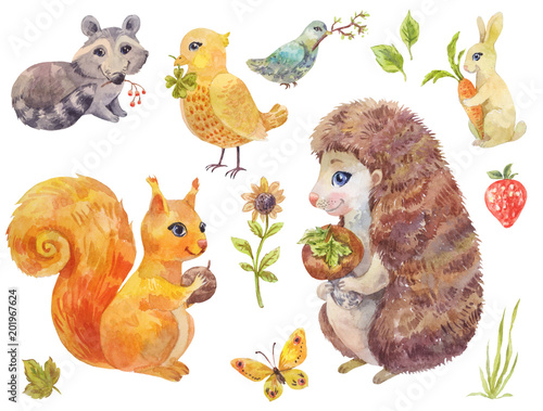 Cute watercolor forest animals. Vintage illustration of