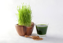 Wheat Grass Juice On White Background