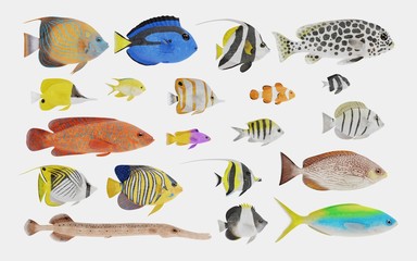 Poster - Realistic 3D Render of Tropical Fish Collection