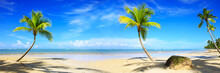 Caribbean Beach With Palm Trees And Blue Sky.