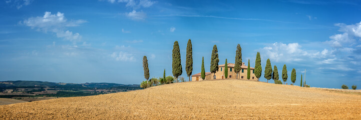 Wall Mural - typical landscape of a farm with a row of cypress trees in tuscany, italy