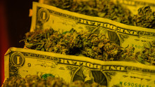 Marijuana Buds With Dollars Bills Close-up.