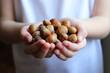 children's hands hold a hazel. Nuts in children's hands. useful snack. 