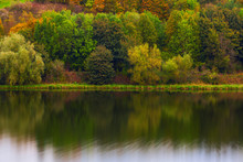 Beautiful Forest Reflecting On Calm Lake Shore