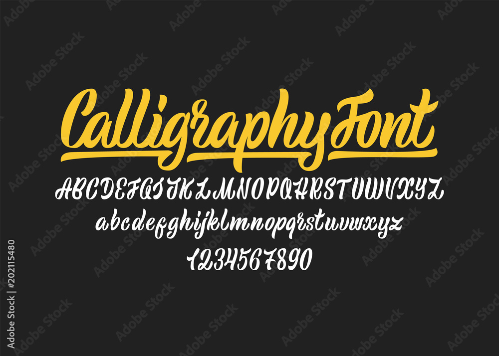 Calligraphic vector script font. Handwritten brush style modern ...