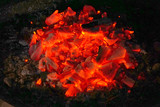 Fototapeta  - Burning red charcoals outdoor.