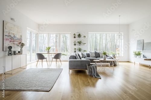 White Elegant Living Room Interior With Windows Grey Corner