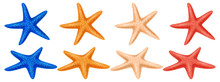 Set Of Colored Starfish On A White Background