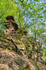 Wall Mural - Sandstone rocks in the Palatinate Forest. Germany