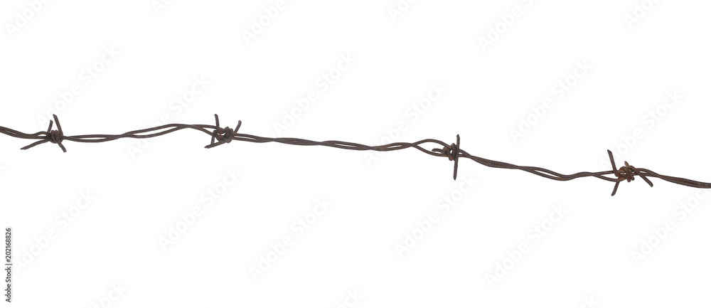 Old rusty security barbed wire fence isolated on white background and texture - obrazy, fototapety, plakaty 