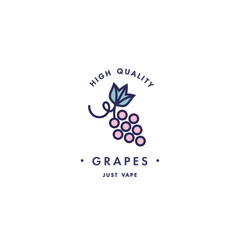 Design template logo and emblem - taste and liquid for vape - grapes. Logo in trendy linear style.