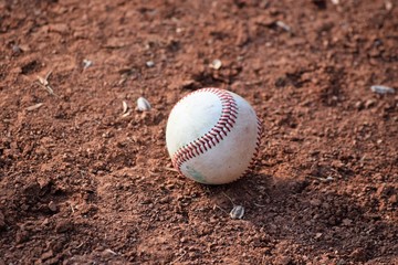 Wall Mural - Baseball