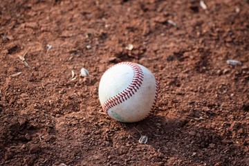 Wall Mural - Baseball