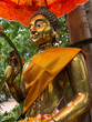 Golden Buddha statue in Thailand