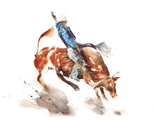Bull Rodeo Watercolor Painting Illustration Isolated On White Background American Sport Lifestyle Tradition Wild West