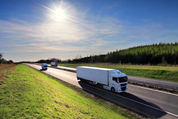 Wall Mural - Truck transportation on the road at sunset