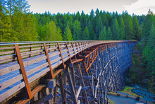 Kinsol Trestle Railroad Bridge In Vancouver Island, BC Canada.