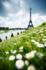 Fototapete - Tour Eiffel au printemps - Paris France