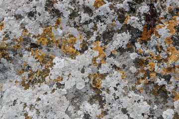 Wall Mural - Close-up rough grungy cracked stone texture background. 