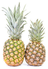 Wall Mural - Pineapple fruit