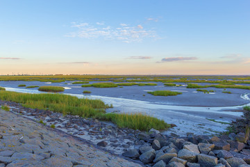 Ebbe am Trischendamm bei Friedrichskoog