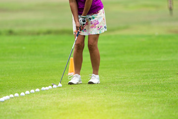 Sticker - Close up of woman golfer practice shot Golf ball on Green field golf course.