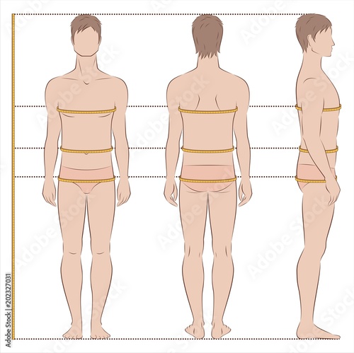 Men Body Measurements Buy This Stock Vector And Explore