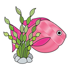 Canvas Print - cute ornamental fish with seaweed vector illustration design