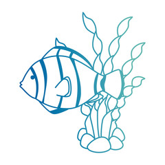 Wall Mural - cute ornamental fish with seaweed vector illustration design