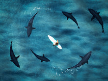 Surfer Surrounded From Six Sharks. Drone View. 3d Rendering
