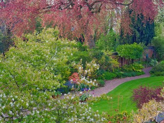 Canvas Print - English Spring Garden