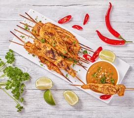 Sticker - Chicken satay on skewers with sauce