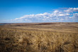 © toomler - steppe landscape. early spring
