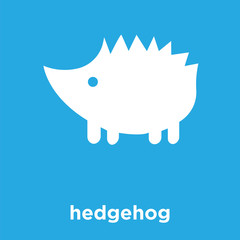 Poster - hedgehog icon isolated on blue background