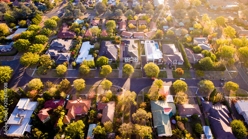 Cuadros en Lienzo Aerial view of a green leafy suburb