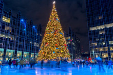 Pittsburgh Christmas Tree