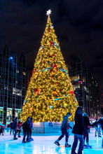Pittsburgh Christmas Tree 
