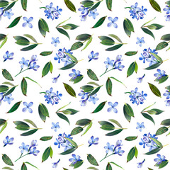 Wall Mural - Seamless pattern, blooming blue lilac and green foliage. Illustration by markers, beautiful floral composition on a white background. Imitation of watercolor drawing.