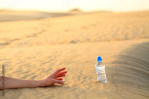 Cuadros en Lienzo Hand try to catch the bottle of water on sand desert in hot temperature