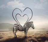 Fototapeta Zebra - Zebra and heart stripes