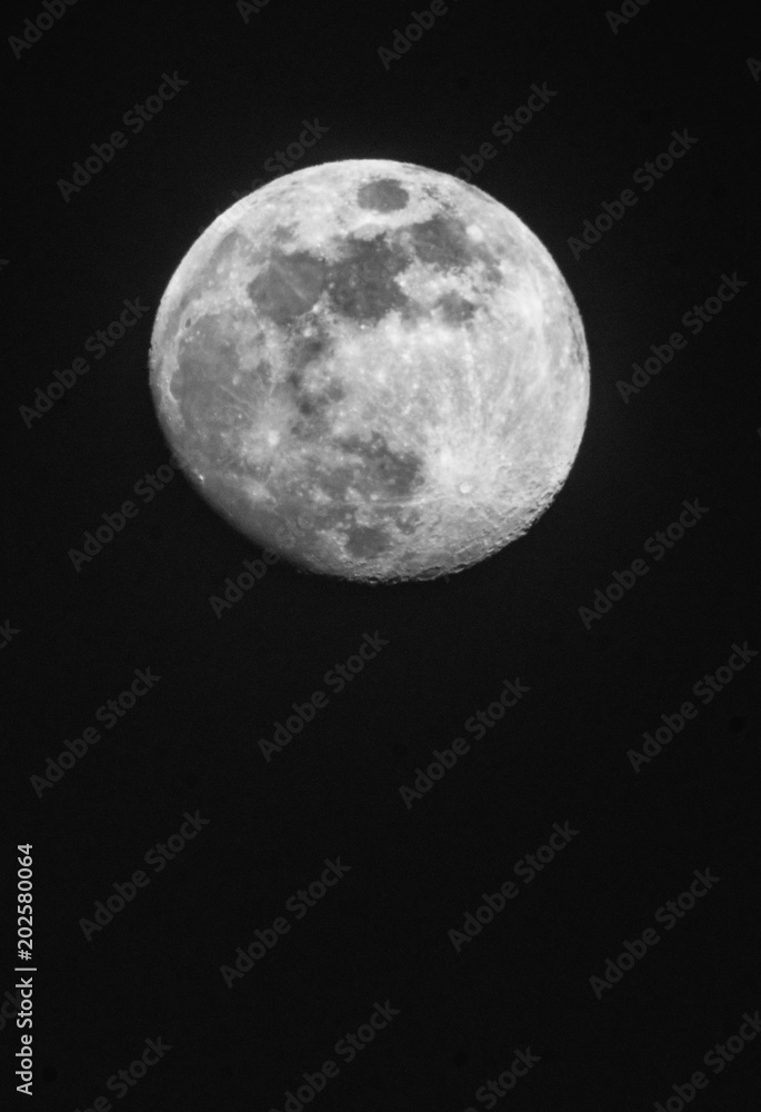 full moon up close in a black night sky Stock Photo | Adobe Stock