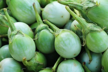 Fresh eggplant green organic in the market