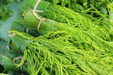 Acacia pennata for cooking in the market