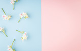 Fototapeta Kwiaty - Sprinf Flower Background