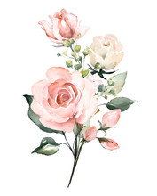  Watercolor Flowers. Floral Illustration, Leaf And Buds. Botanic Composition For Wedding Or Greeting Card.  Branch Of Flowers - Abstraction Pink Roses