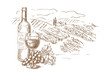 Vineyard landscape sketch vector illustration. Red wine bottle, glasses, grape vine, hand drawn label design elements