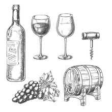 Wine Sketch Vector Illustration. Bottle, Glasses, Grape Vine, Barrel, Corkscrew, Hand Drawn Isolated Design Elements.