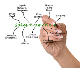 Canvas Print - Diagram of Sales Promotion