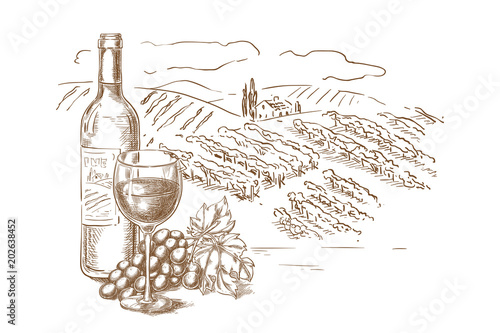 Dekoracja na wymiar  winnica-krajobraz-szkic-ilustracji-wektorowych-butelka-czerwonego-wina-szklanki-winorosl-recznie-rysowane